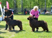 Превью фото № 155396