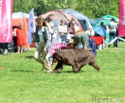 Превью фото № 155424