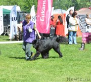 Превью фото № 155425