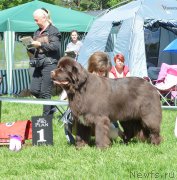 Превью фото № 155430