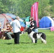 Превью фото № 155432