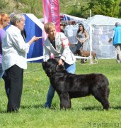 Превью фото № 155436
