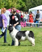 Превью фото № 155438