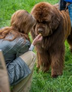 Превью фото № 155442