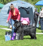 Превью фото № 155449