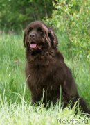 Превью фото № 155472