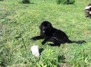 Превью фото № 155493