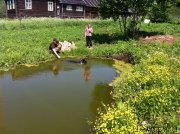 Превью фото № 155495