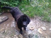 Превью фото № 155496