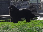 Превью фото № 155626