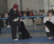 Превью фото № 155633