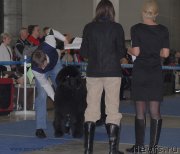 Превью фото № 155640