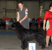 Превью фото № 155649