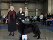 Превью фото № 155650