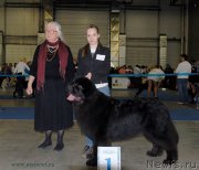 Превью фото № 155651