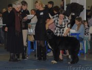 Превью фото № 155655