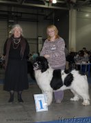 Превью фото № 155661