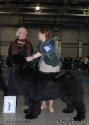 Превью фото № 155663