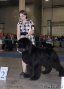 Превью фото № 155664