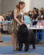 Превью фото № 155665