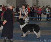 Превью фото № 155666