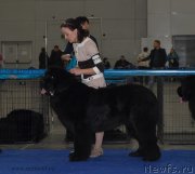 Превью фото № 155687