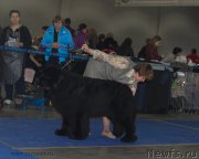 Превью фото № 155700