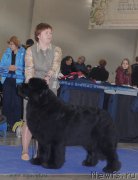 Превью фото № 155706