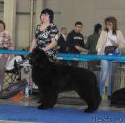 Превью фото № 155709