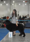 Превью фото № 155717