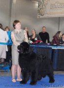 Превью фото № 155724