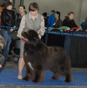 Превью фото № 155743