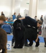 Превью фото № 155744