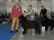 Превью фото № 155753