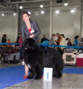 Превью фото № 155759