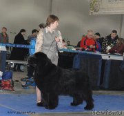 Превью фото № 155781