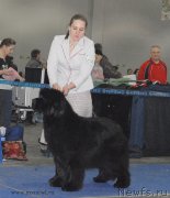 Превью фото № 155782