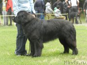 Превью фото № 155819