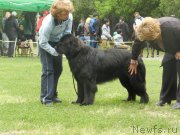 Превью фото № 155820