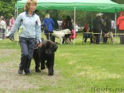 Превью фото № 155822