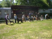 Превью фото № 155827