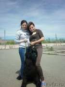 Превью фото № 155860