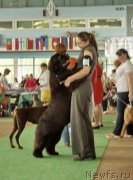 Превью фото № 155866