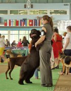 Превью фото № 155867