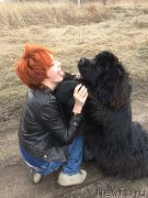 Превью фото № 155879