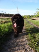 Превью фото № 155882