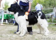 Превью фото № 156061