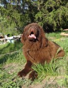 Превью фото № 156072