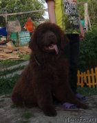 Превью фото № 156073