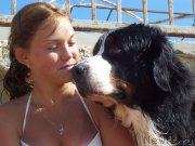 Превью фото № 156133